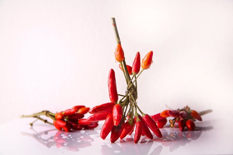 Chili Chocolate